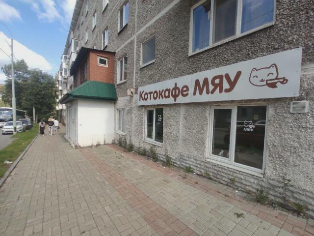 Фотки из антикафе Мяу