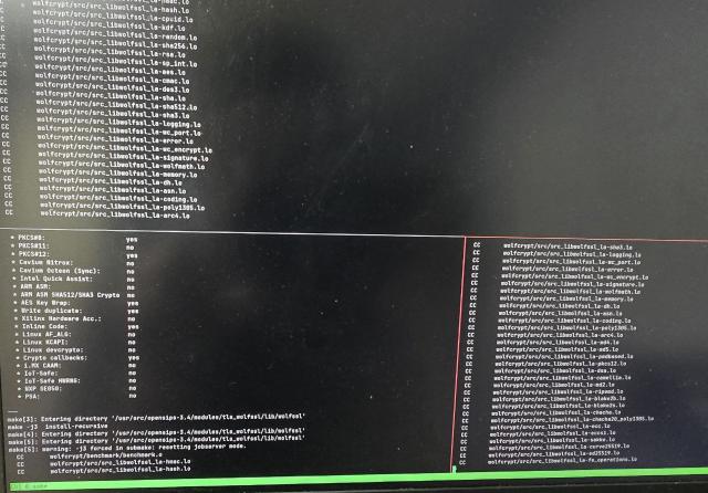 Скриншот с tmux-ом 1