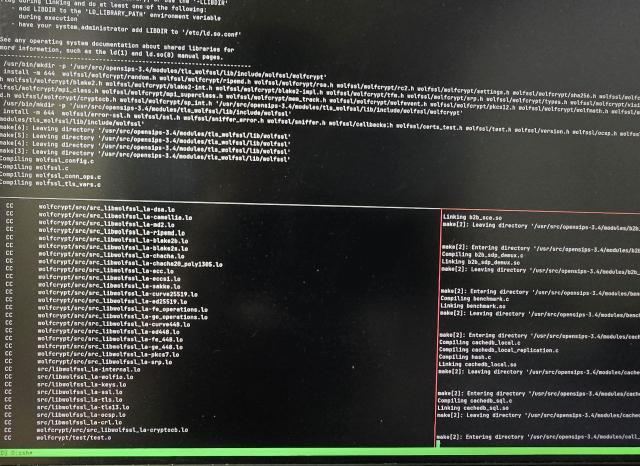 Скриншот с tmux-ом 2