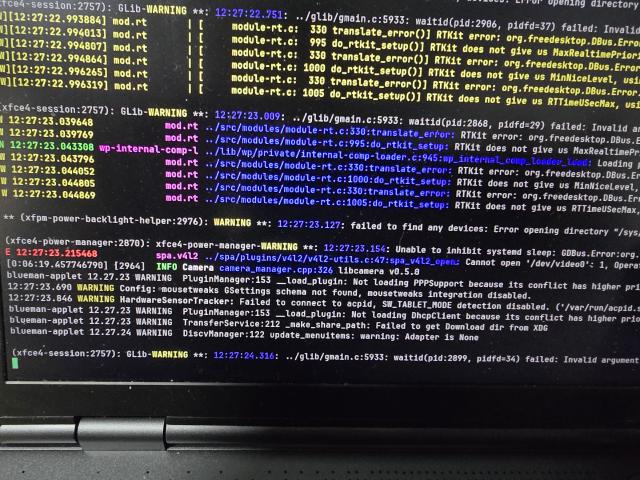 Фото консоли после запуска графики